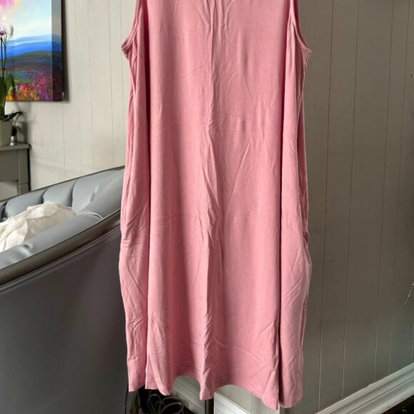 BNWT Dusty Rose Shift Dress Sz XL from Time & Tru - Picture 2 of 3